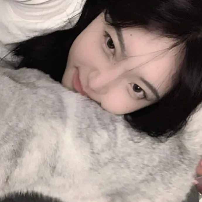 我的独裁者